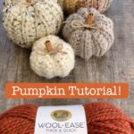 Emme Rylan Instagram - Am I a professional crocheter? No. A professional teacher? Also no. I hope this tutorial is helpful! I AM very excited to share this project with you! I will post the options for other sizes in the comments below. Happy making! #crochetersofinstagram @lionbrandyarn @furlscrochet #fallhomedecor #crochetpumpkin