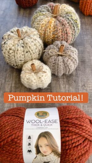 Emme Rylan Instagram - Am I a professional crocheter? No. A professional teacher? Also no. I hope this tutorial is helpful! I AM very excited to share this project with you! I will post the options for other sizes in the comments below. Happy making! #crochetersofinstagram @lionbrandyarn @furlscrochet #fallhomedecor #crochetpumpkin