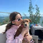 Emmy Perry Instagram - Puppy love💗 . . . . . . . . . . . . . #adoptdontshop #savealife #rescue #rescuedismyfavoritebreed #explore #explorepage #vanderpumpdogs