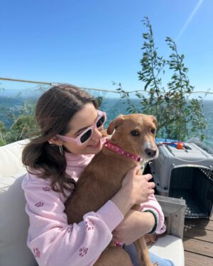 Emmy Perry Instagram - Puppy love💗
.
.
.
.
.
.
.
.
.
.
.
.
.

#adoptdontshop #savealife 
#rescue #rescuedismyfavoritebreed
#explore #explorepage 
#vanderpumpdogs