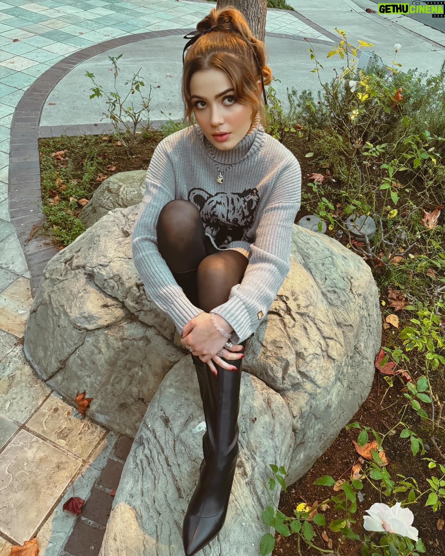 Emmy Perry Instagram - 🧸🖤sweater weather🖤🧸 . . . . . . . . . . #christmas #teddyfresh #holiday #holidayseason #fall #teddybear #sweaterweather #fashion #sweater #fashionblogger #ootd #explorepage #explore #vintage #couquette