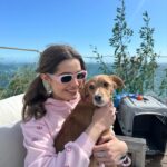 Emmy Perry Instagram - Puppy love💗 . . . . . . . . . . . . . #adoptdontshop #savealife #rescue #rescuedismyfavoritebreed #explore #explorepage #vanderpumpdogs