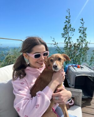 Emmy Perry Instagram - Puppy love💗
.
.
.
.
.
.
.
.
.
.
.
.
.

#adoptdontshop #savealife 
#rescue #rescuedismyfavoritebreed
#explore #explorepage 
#vanderpumpdogs