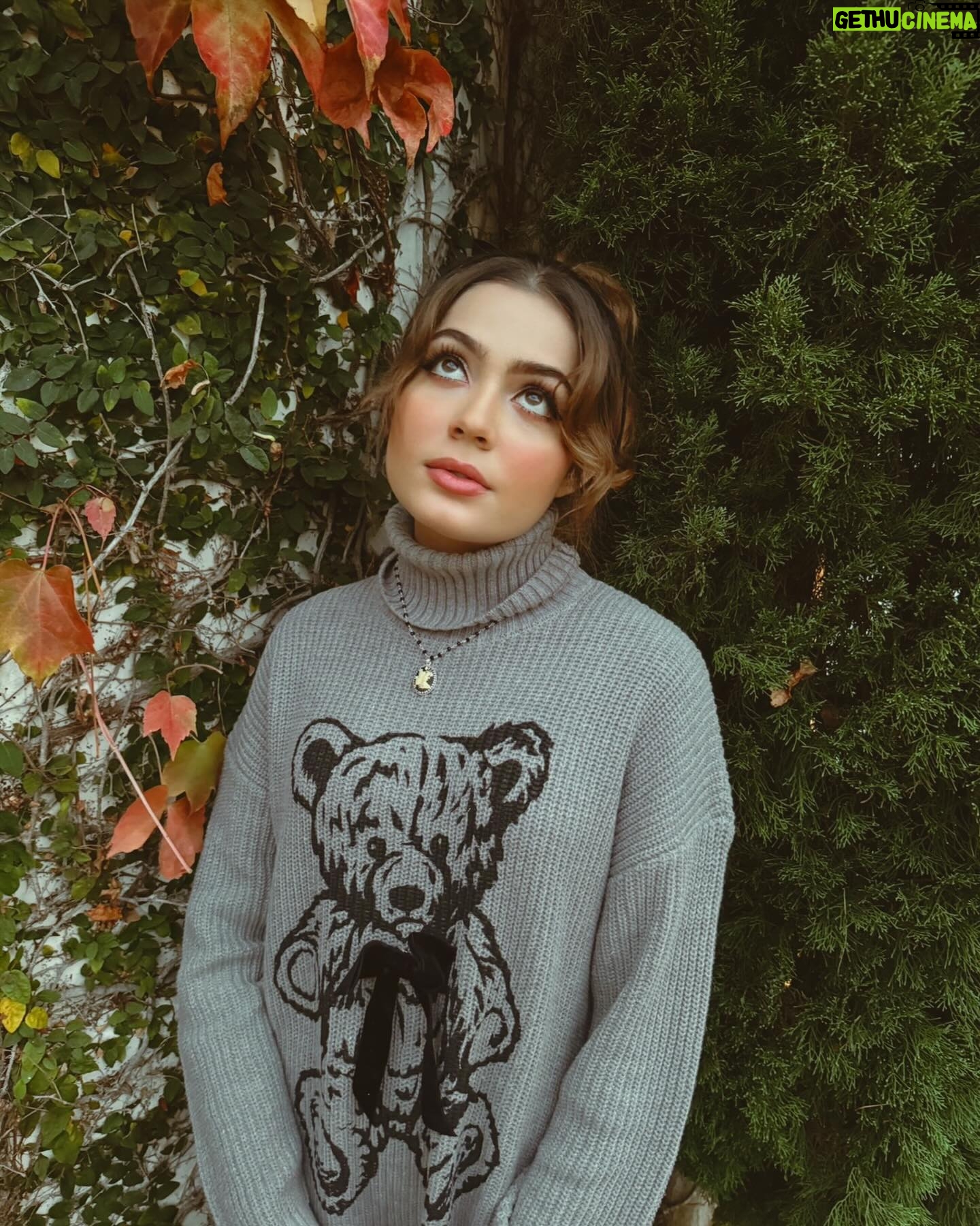 Emmy Perry Instagram - 🧸🖤sweater weather🖤🧸 . . . . . . . . . . #christmas #teddyfresh #holiday #holidayseason #fall #teddybear #sweaterweather #fashion #sweater #fashionblogger #ootd #explorepage #explore #vintage #couquette