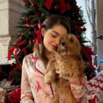 Emmy Perry Instagram - A Truly Merry Christmas ♥️🎄✨ . . . . . . #christmas #holiday #explore #explorepage