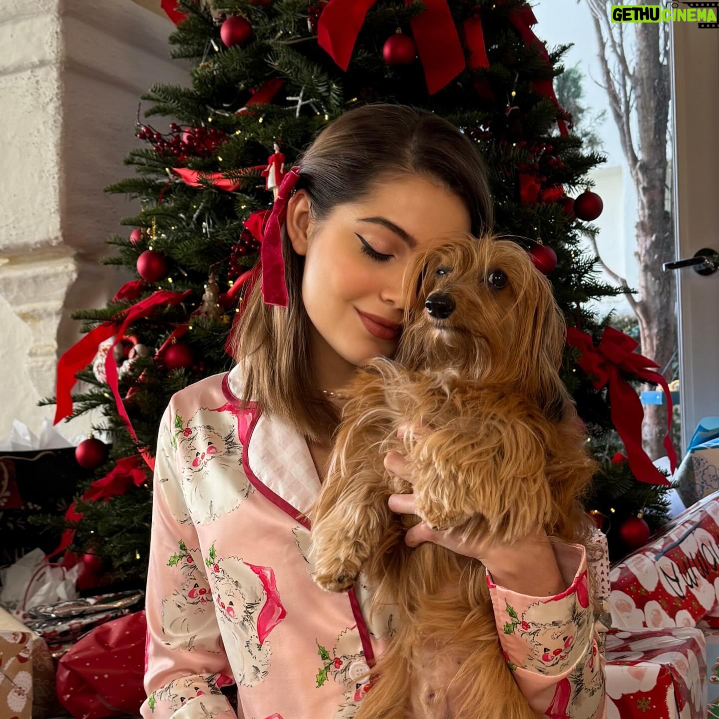 Emmy Perry Instagram - A Truly Merry Christmas ♥️🎄✨ . . . . . . #christmas #holiday #explore #explorepage