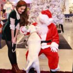 Emmy Perry Instagram - “I believe there’s always hope when all seems lost and I believe in Santa Claus!”✨❤️….. . . . . . . #christmas #explorepage #explore #holidayseason #santaclaus #vintage #santa