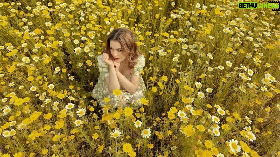 Emmy Perry - 3 Likes - Cherry Wine🌼✨