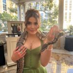 Emmy Perry Instagram - What a beautiful night celebrating the remarkable legacy of Steve Irwin and his dedication to wildlife conservation. His infectious passion for wildlife and wild places have been passed on to his inspirational family @terriirwincrickey @bindisueirwin and @robertirwinphotography who live it and share it with the world who I love and have the honor of calling my dear friends. Thank you for continuing to inspire us all to make a difference! I will forever be a #proudwildlifewarrior 💚🐊