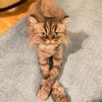 Enora Malagré Instagram - Le gars est en discussion