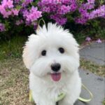 Eom Ji-yoon Instagram - 행복❕💓