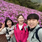 Eom Ji-yoon Instagram - #진달래 #철쭉 #꽃 #잎 #풍경 #미소짓는인생 #자연 #프사 #배경 #사랑 #우정 #등산의목적 #🌸