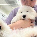 Eom Ji-yoon Instagram - zzzz코