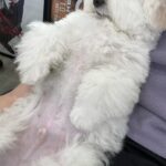 Eom Ji-yoon Instagram - zzzz코