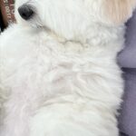 Eom Ji-yoon Instagram - zzzz코