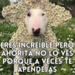 Eréndira Ibarra Instagram - Por tantos días que no me vi, no me entendí, no me cuide. Hoy prometo ser ferozmente tierna conmigo, sostenerme y verme clara y amorosamente. Ella que fui, es mi fuerza para ser hoy. Por todas las veces que la lastime… hoy me protejo. . . #TheNewParadigmIsToRise #FlowThroughUntilYouBreakthrough #RadicalAndRevolutionarySelfLove . . 📸 @bkheadshots . Meme by mi @punk_y_cursi