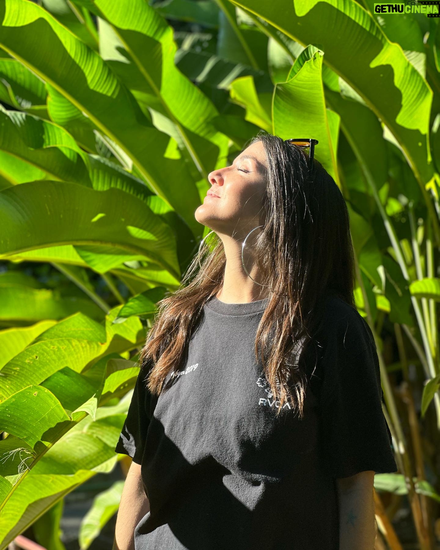 Eréndira Ibarra Instagram - El Salvador… tu tan verde y lleno de tanto amor… gracias por el apapacho de naturaleza. Por las piezas del rompecabezas que me faltaban, GRACIAS INFINITAS. #MissYouAlready 🌊🫂🤍✨