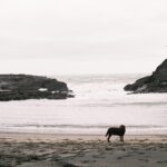 Erana James Instagram - first roll back