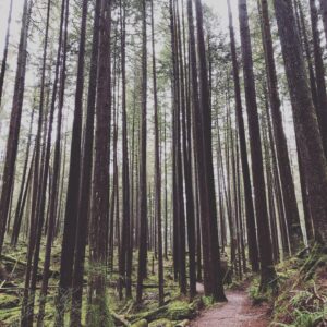 Erica Cerra Instagram - #mybackyard 
#loveyourself 
#lovemylife 
#naturewalks🌿