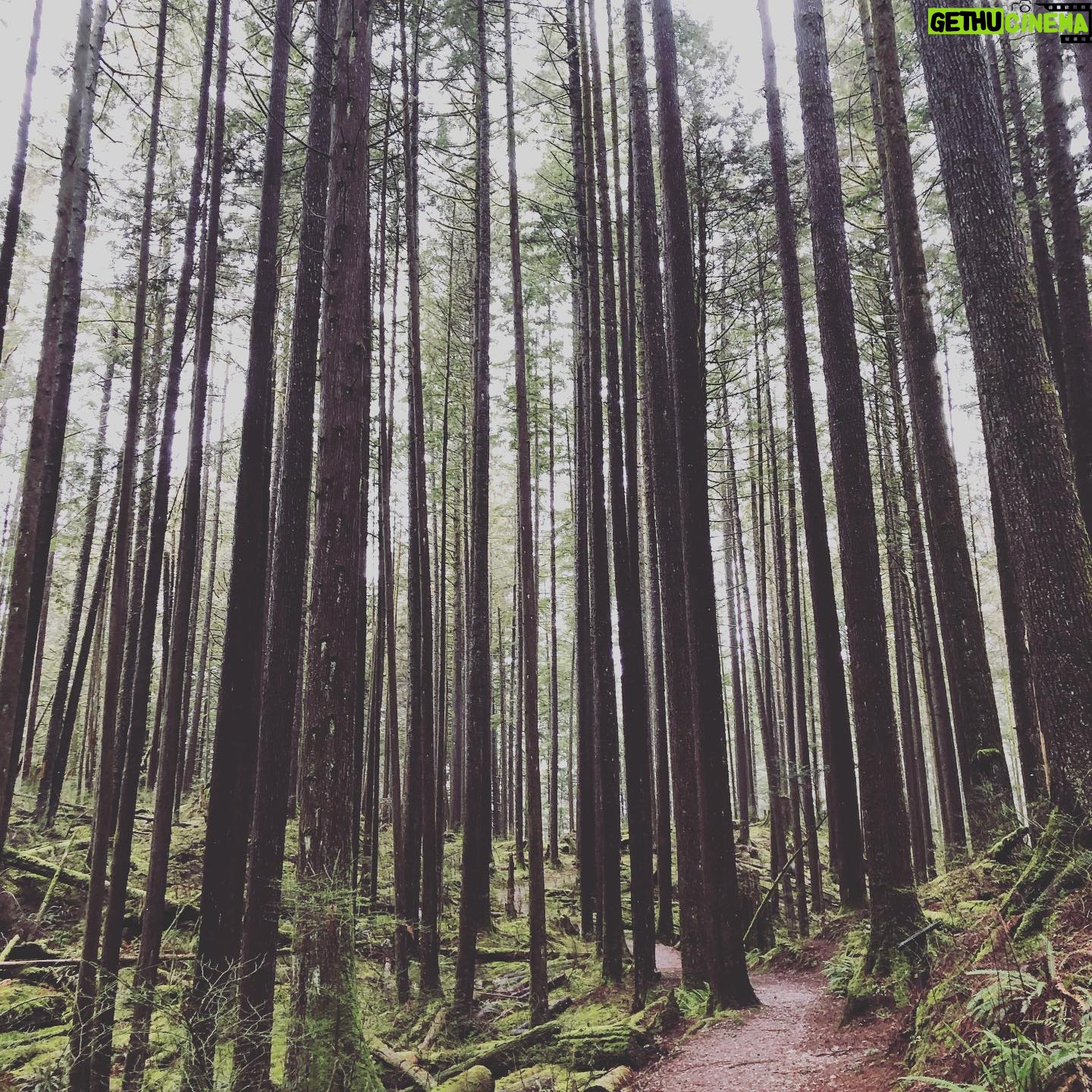 Erica Cerra - 3.6K Likes - #mybackyard
#loveyourself
#lovemylife
#naturewalks🌿