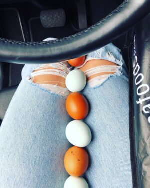 Erica Cerra Instagram - When your amazing friends/ neighbours @adeljcotichini have chickens... you are lucky enough to get fresh EGGS!