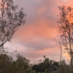 Erica Chidi Cohen Instagram - january highlights: this sunset i captured from our porch, and the handful of memes that helped me lol my way through what has felt like the longest month ever. 🗓️🫠