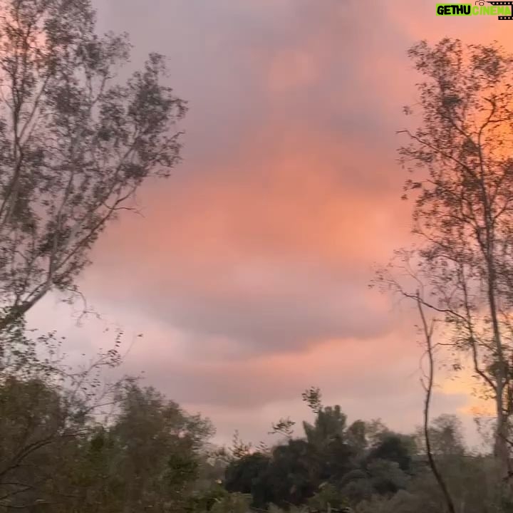 Erica Chidi Cohen - 1K Likes - january highlights: this sunset i captured from our porch, and the handful of memes that helped me lol my way through what has felt like the longest month ever. 🗓️🫠