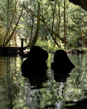 Erica Chidi Cohen Instagram - getting engaged while submerged within a cenote, surrounded by ancient water and stalagmites is  emblematic of our love and everything it took to get to this moment. you are by far my greatest teacher and friend. thank you for choosing me and saying yes. 💍
