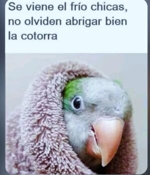 Erika de Sautu Riestra Instagram - BOLUUUUUUÚUDAAAAAA???? MI NO ENTENDER?!! Qué Frio del Ortex !!! Dejame de joder! Y es Otoño!! .... 
Bueh....... abríguense !!!
Buen Dia Vecinos !!
#lunes #monday #goodmorning #buendíavecinos #friodelorto #teamverano