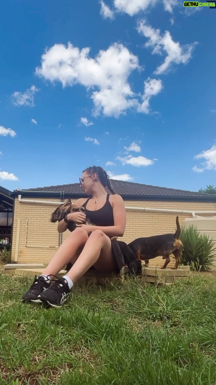 Erin Barnett Instagram - 10 minutes⏩14 seconds 🐾❤️🥹 #mychildren #dachshunds