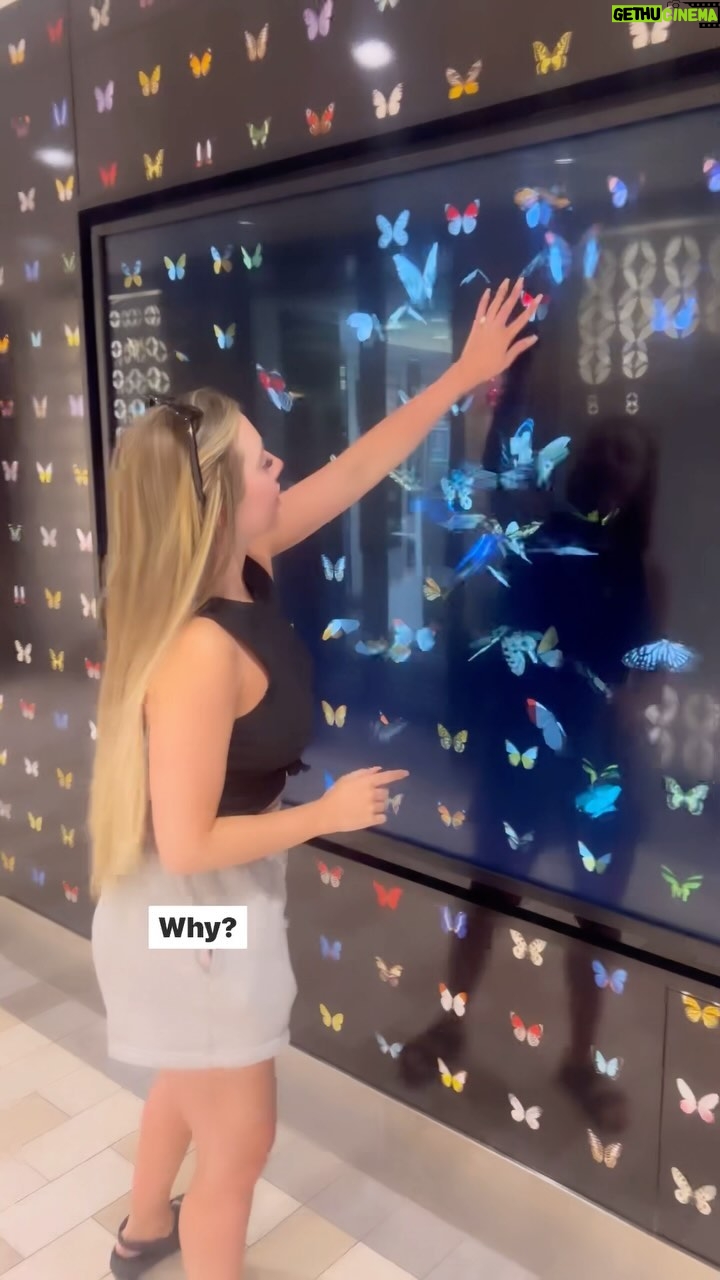 Erin Barnett - 3 Likes - Trying to get a cute video of me and the butterflies 🦋 This is why I can’t rely on mick for good content 😂😂 Have a listen to him speaking ahahahaha #cruise #royalcaribbeancruise #lol