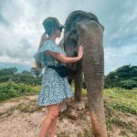 Erin Barnett Instagram - Elephant Sanctuary Kathu Phuket🐘❤️ Such an amazing place!