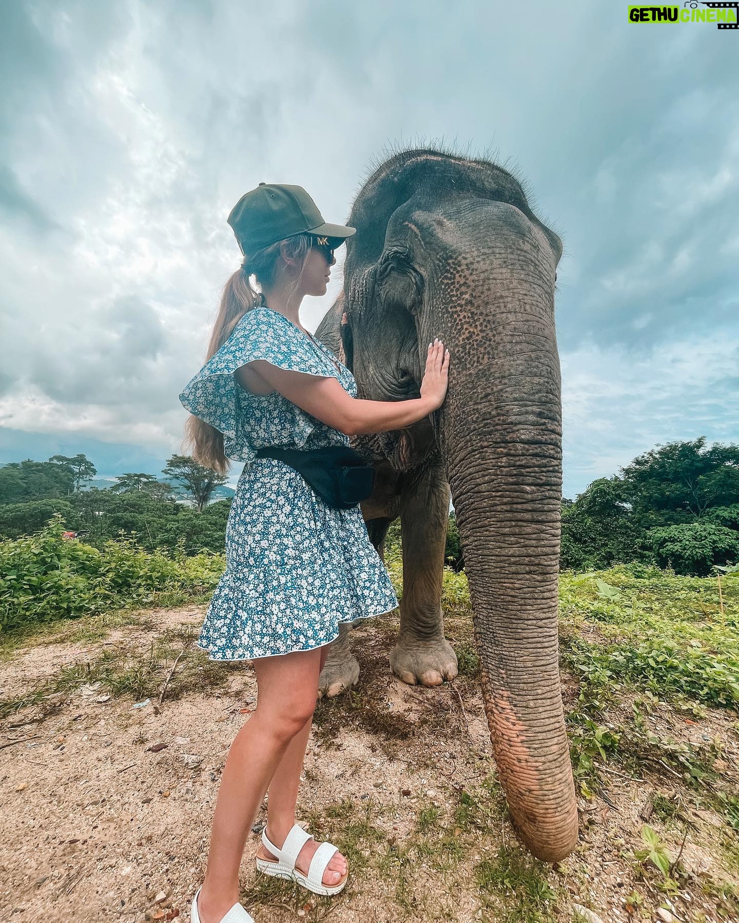 Erin Barnett Instagram - Elephant Sanctuary Kathu Phuket🐘❤️ Such an amazing place!