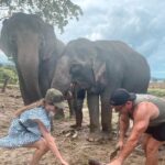 Erin Barnett Instagram - Elephant Sanctuary Kathu Phuket🐘❤️ Such an amazing place!