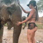 Erin Barnett Instagram - Elephant Sanctuary Kathu Phuket🐘❤️ Such an amazing place!
