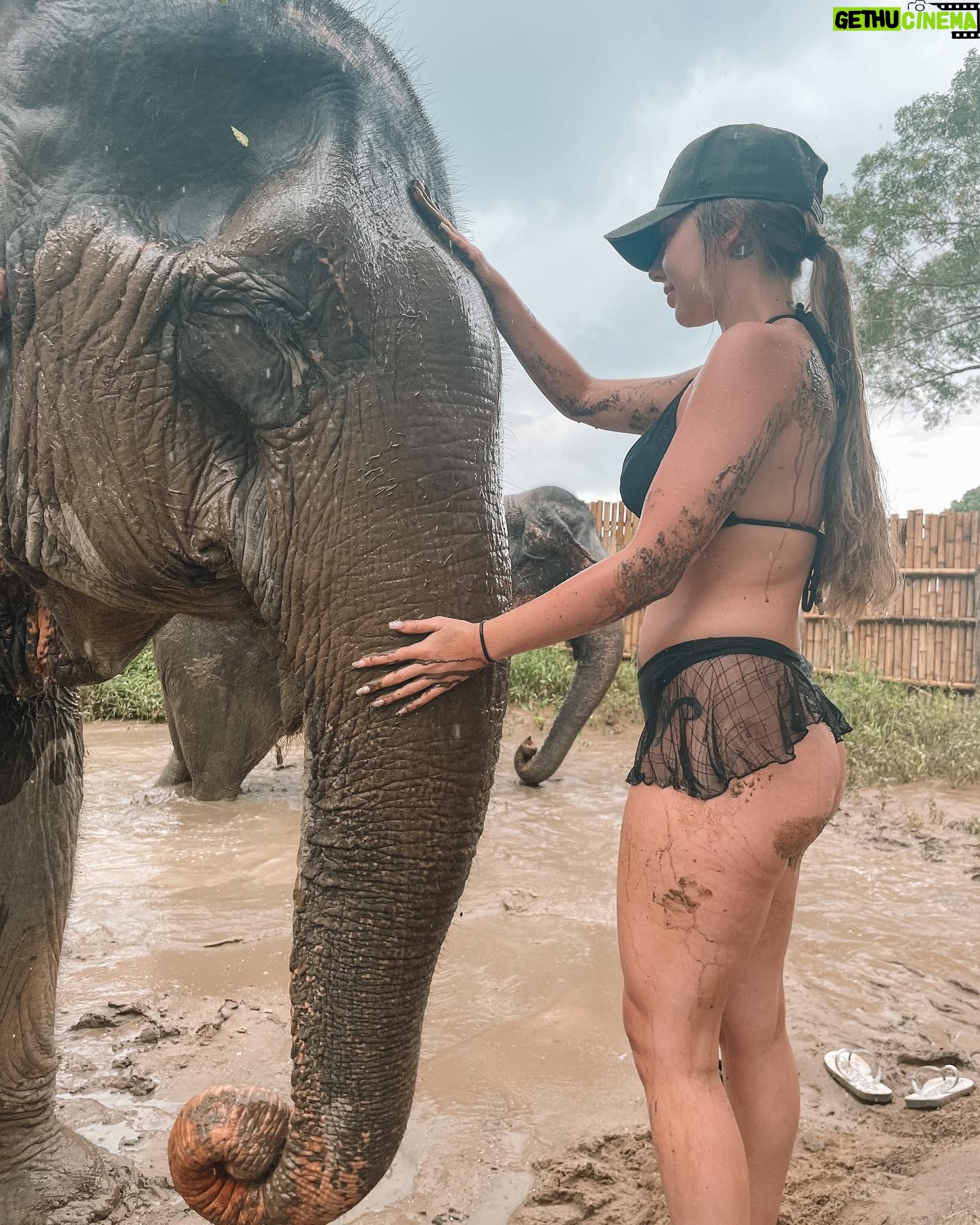 Erin Barnett Instagram - Elephant Sanctuary Kathu Phuket🐘❤️ Such an amazing place!