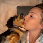 Erin Barnett Instagram - A day in the life of a dachshund owner x 3 🥹❤️😂🐾 #slinky #cookie #snoopy #dachshundsofinstagram #furbaby #furmumma