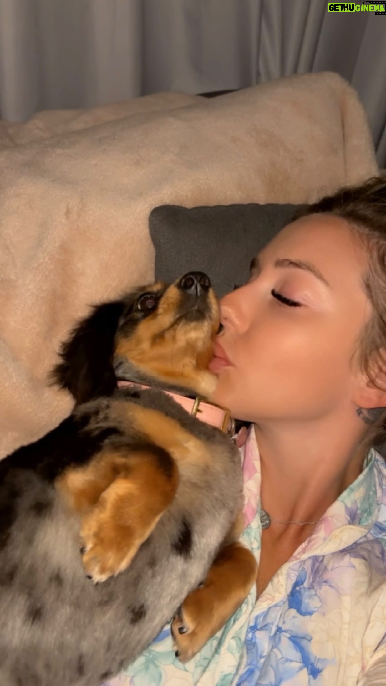 Erin Barnett - 3 Likes - A day in the life of a dachshund owner x 3 🥹❤️😂🐾 #slinky #cookie #snoopy #dachshundsofinstagram #furbaby #furmumma