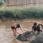 Erin Barnett Instagram - Elephant Sanctuary Kathu Phuket🐘❤️ Such an amazing place!