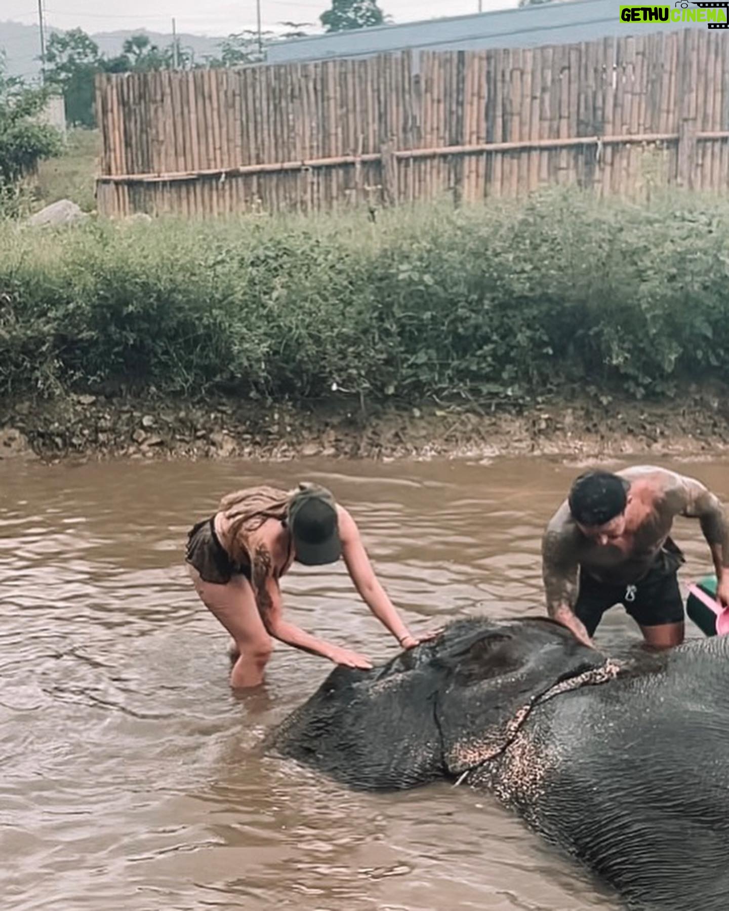 Erin Barnett Instagram - Elephant Sanctuary Kathu Phuket🐘❤️ Such an amazing place!