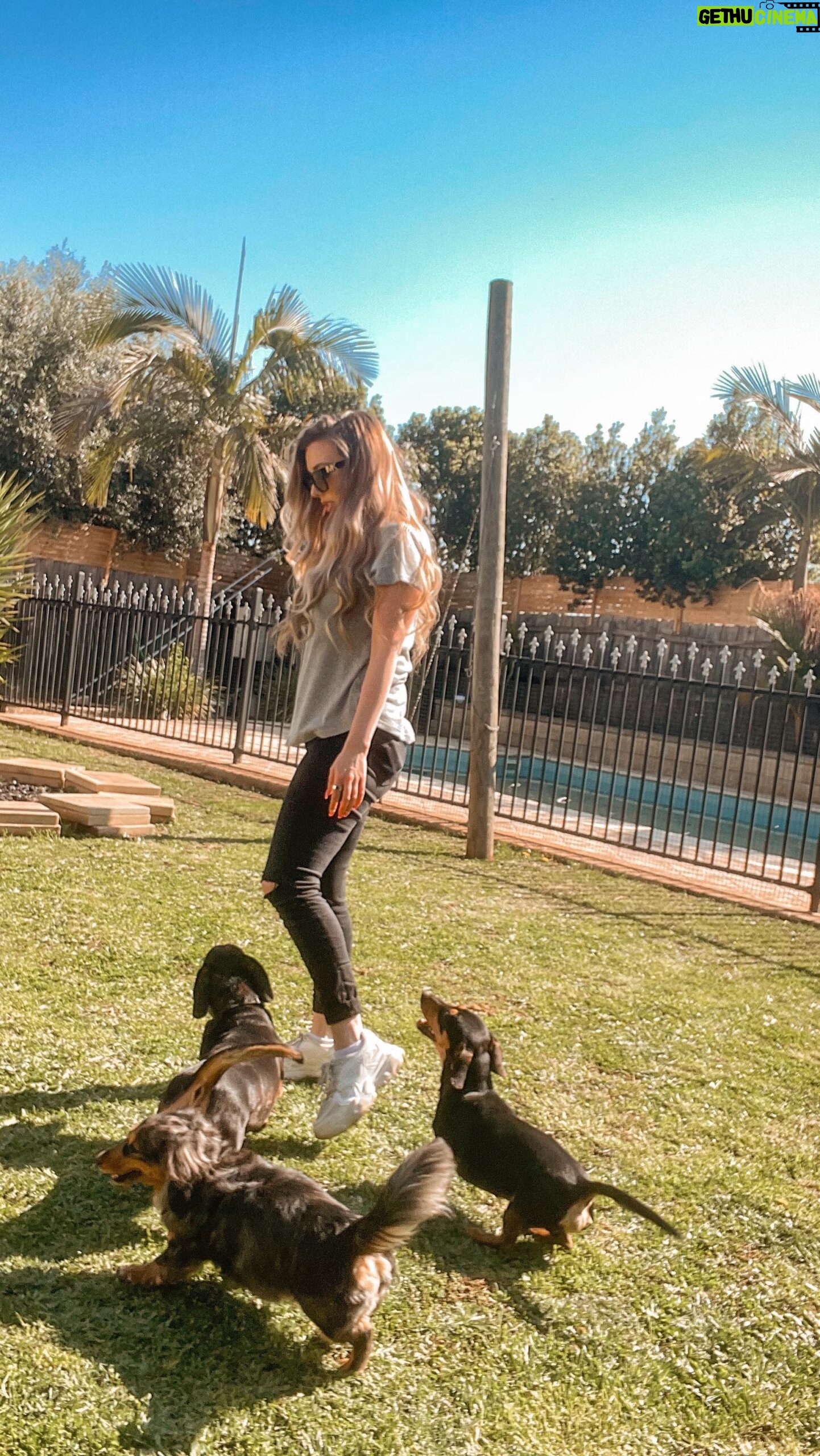 Erin Barnett - 1.2K Likes - Family day ❤️🐾 #mychildren #furbabies #dachshund