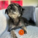 Erin Krakow Instagram - That snoot. 😍
