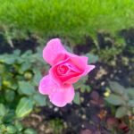 Erin Krakow Instagram - Slice of life lately…