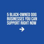 Erin Richards Instagram - Thanks @mynameischrischalk for this info! Repost from @weratedogs • It’s time black-owned dog businesses start getting a fat slice of the $100 billion we’re estimated to spend on our pets this year. Don’t just follow these businesses, use them. Feel free to comment with others you love. If you can’t think of any, you have to buy from one of these. That’s the rule ❤️ (inspired by @boogiethepug, you can find their entire list in our bio) ✨ also don’t make fun of my graphic design skills @sirdariusbrown @petplate @housedogge @petparentallies @avaspetpalace featuring more on our story!