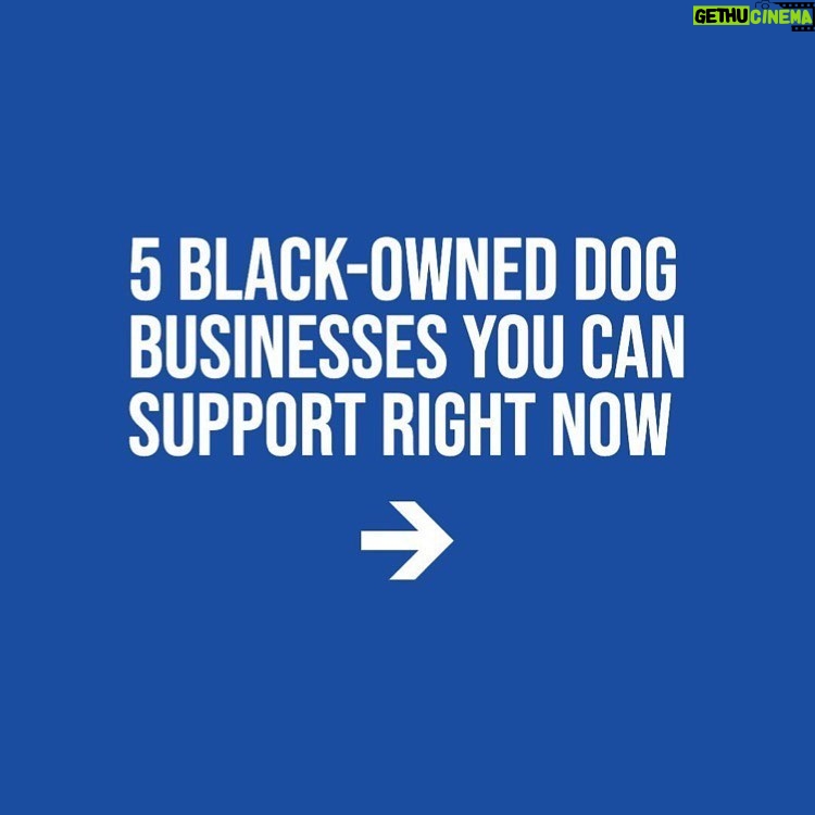 Erin Richards Instagram - Thanks @mynameischrischalk for this info! Repost from @weratedogs • It’s time black-owned dog businesses start getting a fat slice of the $100 billion we’re estimated to spend on our pets this year. Don’t just follow these businesses, use them. Feel free to comment with others you love. If you can’t think of any, you have to buy from one of these. That’s the rule ❤️ (inspired by @boogiethepug, you can find their entire list in our bio) ✨ also don’t make fun of my graphic design skills @sirdariusbrown @petplate @housedogge @petparentallies @avaspetpalace featuring more on our story!