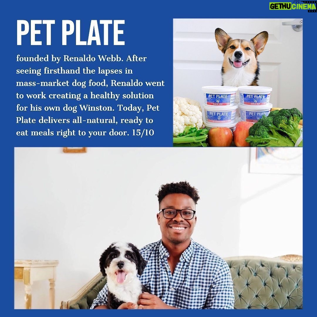 Erin Richards Instagram - Thanks @mynameischrischalk for this info! Repost from @weratedogs • It’s time black-owned dog businesses start getting a fat slice of the $100 billion we’re estimated to spend on our pets this year. Don’t just follow these businesses, use them. Feel free to comment with others you love. If you can’t think of any, you have to buy from one of these. That’s the rule ❤️ (inspired by @boogiethepug, you can find their entire list in our bio) ✨ also don’t make fun of my graphic design skills @sirdariusbrown @petplate @housedogge @petparentallies @avaspetpalace featuring more on our story!
