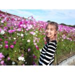 Erina Mano Instagram - ひたち海浜公園のコスモスとコキア🫧 コキアの見頃は少し過ぎてしまっていたけど 初めて見に行けて嬉しかった🤭 . . この日のことはオレンジページnetでの連載 「ふたりごはん日記」に書いています！ テーマは休日のお出かけと夕飯🍛 読んでもらえたら嬉しいです🍊 連載記事のリンクはプロフィールのハイライト 「オレンジページ」にまとめてあります！ . . 皆さんはカレーを作る時のポイントや隠し味ありますか？💭 . . ニット　@diagramofficial デニム　@majeparis #ひたち海浜公園 #コキア #コスモス #お出かけ #カレーライス #休日 #私服　 #カメラ散歩