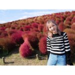 Erina Mano Instagram - ひたち海浜公園のコスモスとコキア🫧 コキアの見頃は少し過ぎてしまっていたけど 初めて見に行けて嬉しかった🤭 . . この日のことはオレンジページnetでの連載 「ふたりごはん日記」に書いています！ テーマは休日のお出かけと夕飯🍛 読んでもらえたら嬉しいです🍊 連載記事のリンクはプロフィールのハイライト 「オレンジページ」にまとめてあります！ . . 皆さんはカレーを作る時のポイントや隠し味ありますか？💭 . . ニット　@diagramofficial デニム　@majeparis #ひたち海浜公園 #コキア #コスモス #お出かけ #カレーライス #休日 #私服　 #カメラ散歩