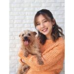 Erina Mano Instagram - 兄わんこ🐶 9歳になりました🎂🎉 毎日元気でいてくれて嬉しいし 甘えん坊のくっつき虫でかまってちゃんな兄わんこが 毎日毎日愛おしいし本当に可愛いです！！！🤎 . . もう9歳かぁ〜！と思ってしまうけど、まだまだ9歳！！！ 元気に走り回るし食い意地は我が家で1番🍚🍚🍚 この先も長生きしてもらえるように 毎日楽しい時間をたくさん過ごします✨ . . 3月から5月は我が家は誕生日ラッシュです🤭 #愛犬 #犬のいる暮らし #誕生日おめでとう #大好き