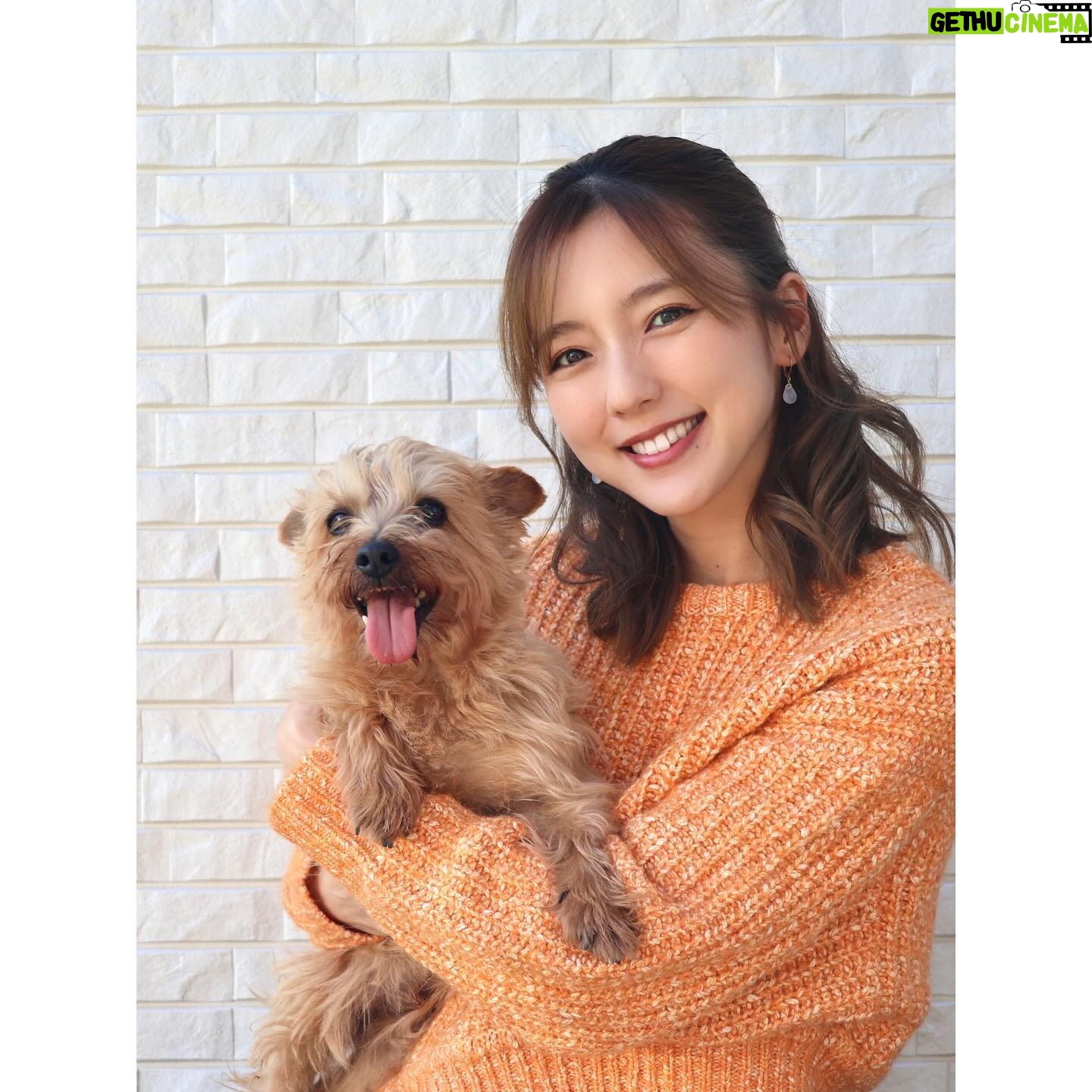 Erina Mano Instagram - ๅ
ใใใ๐ถ 9ๆญณใซใชใใพใใ๐๐ ๆฏๆฅๅ
ๆฐใงใใฆใใใฆๅฌใใใ ็ใใๅใฎใใฃใคใ่ซใงใใพใฃใฆใกใใใชๅ
ใใใใ ๆฏๆฅๆฏๆฅๆใใใใๆฌๅฝใซๅฏๆใใงใ๏ผ๏ผ๏ผ๐ค . . ใใ9ๆญณใใใ๏ผใจๆใฃใฆใใพใใใฉใใพใ ใพใ 9ๆญณ๏ผ๏ผ๏ผ ๅ
ๆฐใซ่ตฐใๅใใ้ฃใๆๅฐใฏๆใๅฎถใง1็ช๐๐๐ ใใฎๅ
ใ้ท็ใใใฆใใใใใใใซ ๆฏๆฅๆฅฝใใๆ้ใใใใใ้ใใใพใโจ . . 3ๆใใ5ๆใฏๆใๅฎถใฏ่ช็ๆฅใฉใใทใฅใงใ๐คญ #ๆ็ฌ #็ฌใฎใใๆฎใใ #่ช็ๆฅใใใงใจใ #ๅคงๅฅฝใ